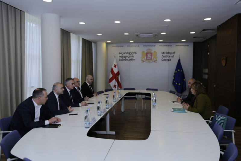 პერსონალურ მონაცემთა დაცვის სამსახურის უფროსი იუსტიციის მინისტრს შეხვდა